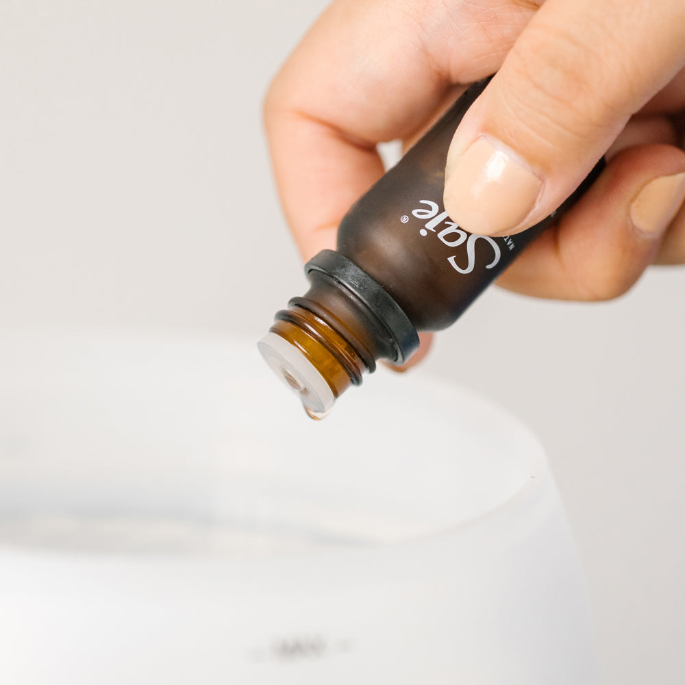 The Bestsellers Bundle
