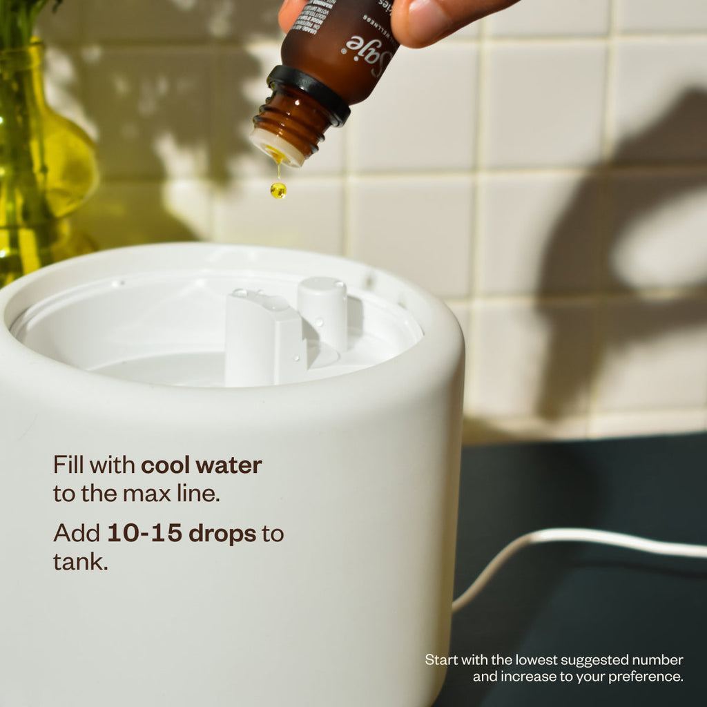 Aroma Halo