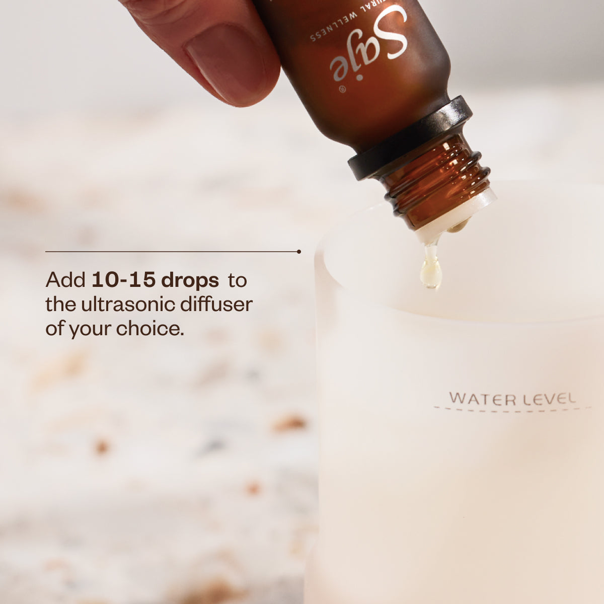 The Best of Saje Bundle