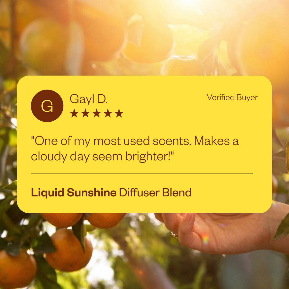 Liquid Sunshine®